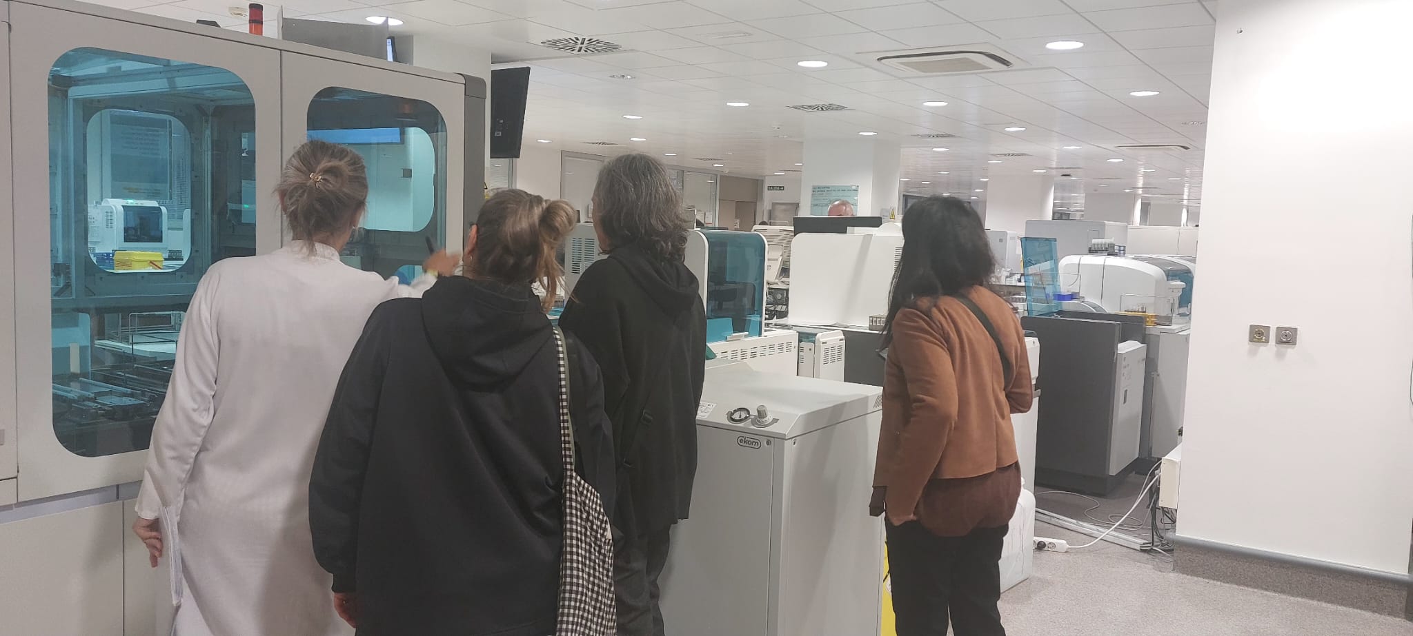 Imagen de WhatsApp 2025 10 16 a las 17.55.01 102cce3d